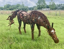 Horse_Bowling Horse_Bowling