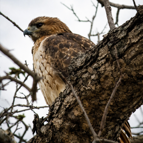 5b6c9cc8 4816 446b 9826 704660472811